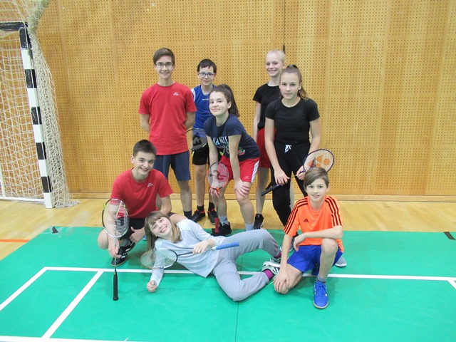 Ekipno področno tekmovanje v badmintonu