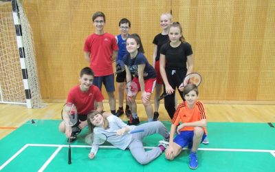 Ekipno področno tekmovanje v badmintonu