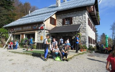 2.  ŠPORTNI DAN 6., 7., 8., IN 9. RAZREDOV