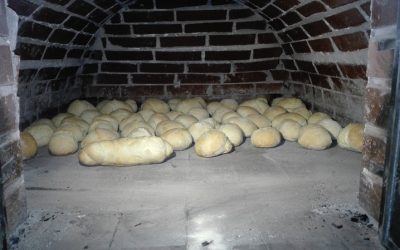 PEKA KRUHA – 1. RAZRED