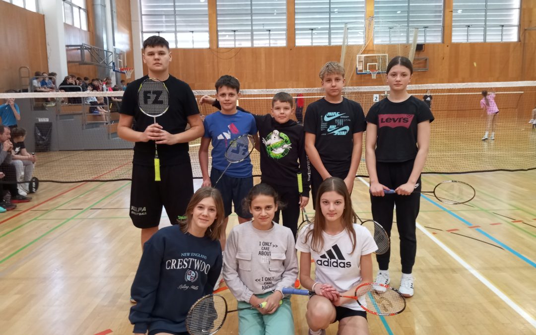 Ekipno področno tekmovanje v badmintonu