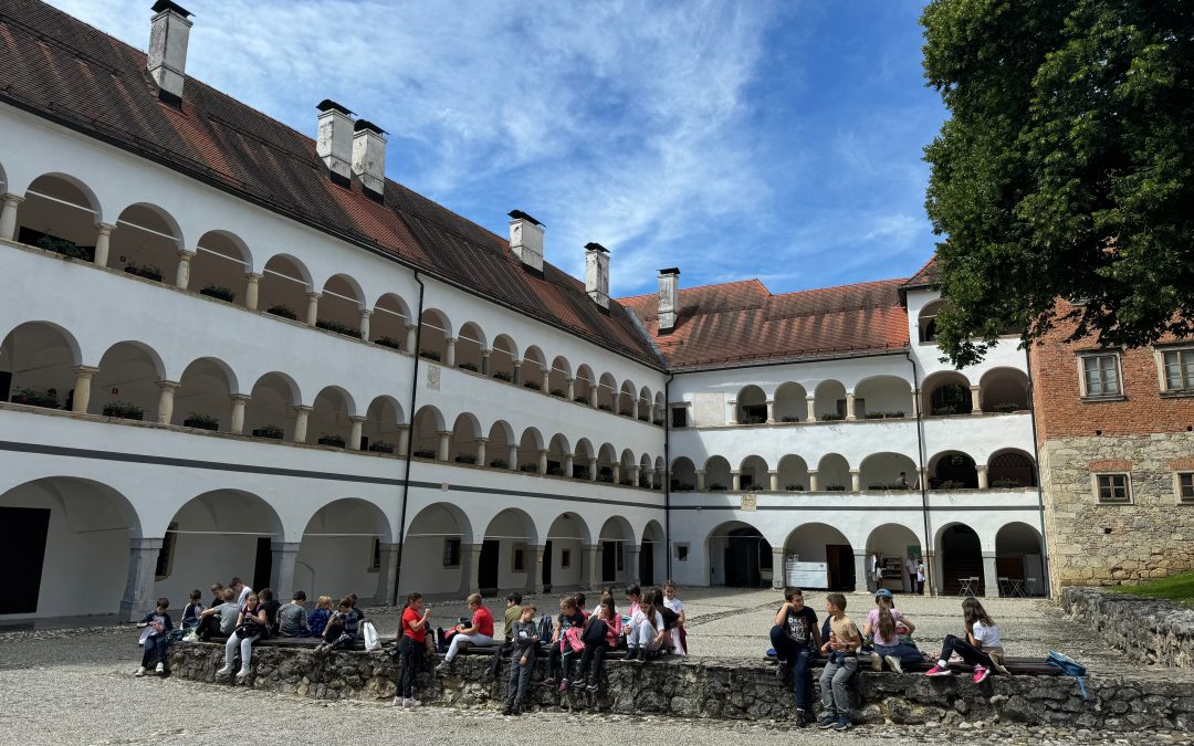 TRETJEŠOLCI V KOSTANJEVICI NA KRKI