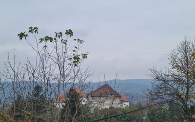 Prvi kulturni dan devetošolcev