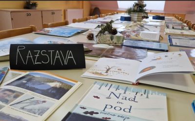 RAZSTAVA O ZIMI