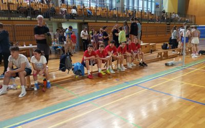 Državno ekipno tekmovanje v badmintonu za osnovne šole