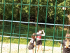 odbojka-3x3-Semic-4