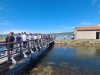 13-secoveljske_soline_2