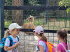 ZOO-1R_8